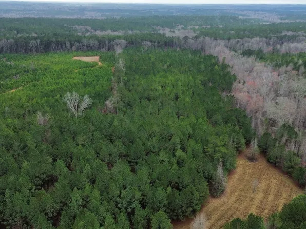 0 County Road 77, Roanoke, AL 36274