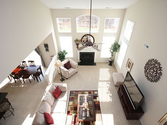 Beautiful view into the woods.