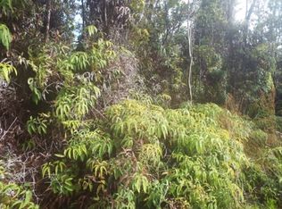 19 4021st #1, Volcano, HI 96785