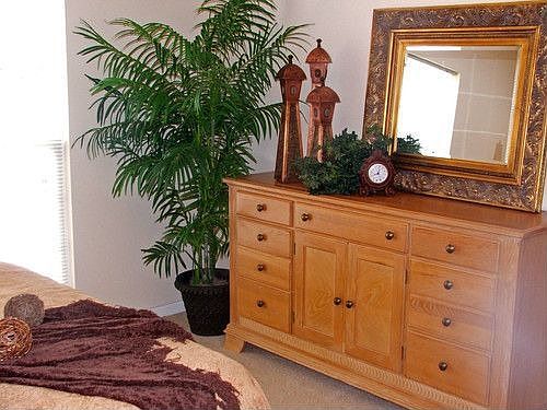 5th image of 29 Kassebaum Ln APT 100