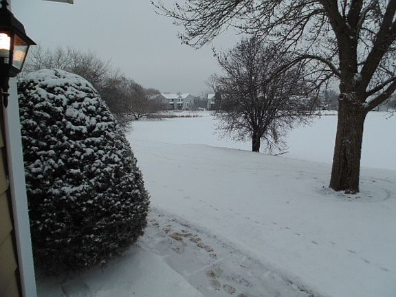5th image of 602 N Lake Shore Dr