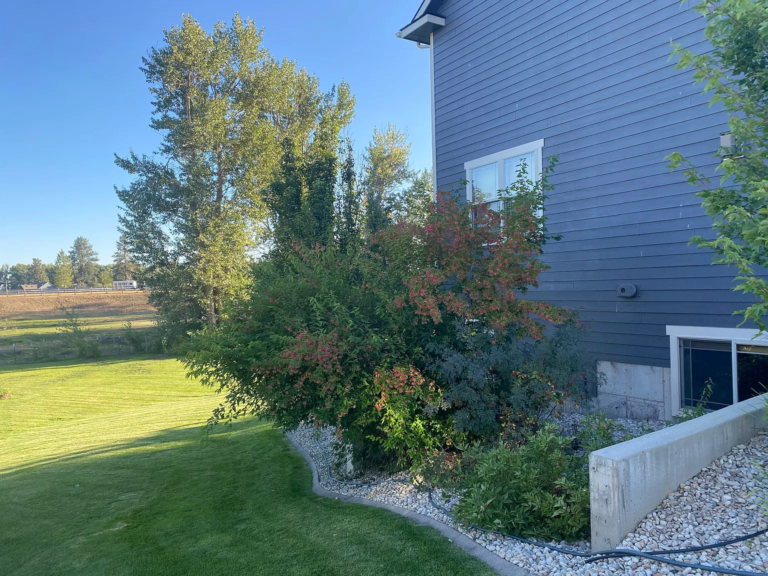 323 Maroon Ct — Photo 3