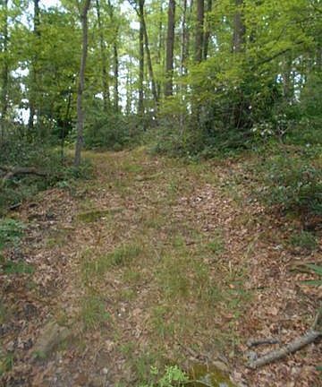 2nd image of 9821 Brandonville Pike