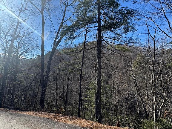 4th image of 15 Blossom Hollow Way Lot Tr15