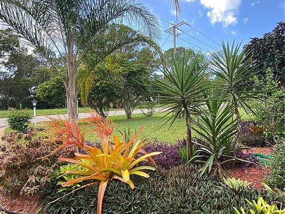 5th image of 1223 Gulf Coast Blvd