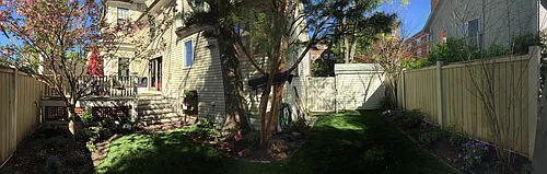 20 Avon St Photo 1