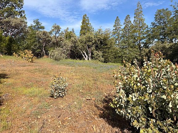 3rd image of 29 Manzanita Dr