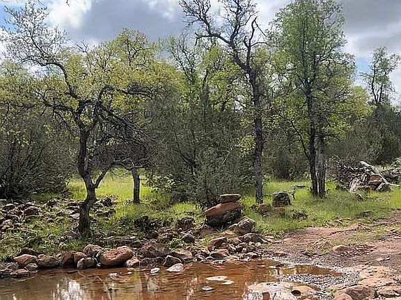 2nd image of Aoudad Dr