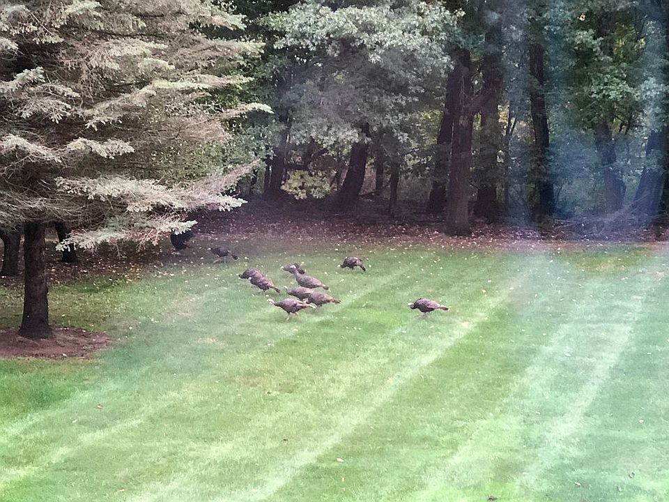 Turkey visit