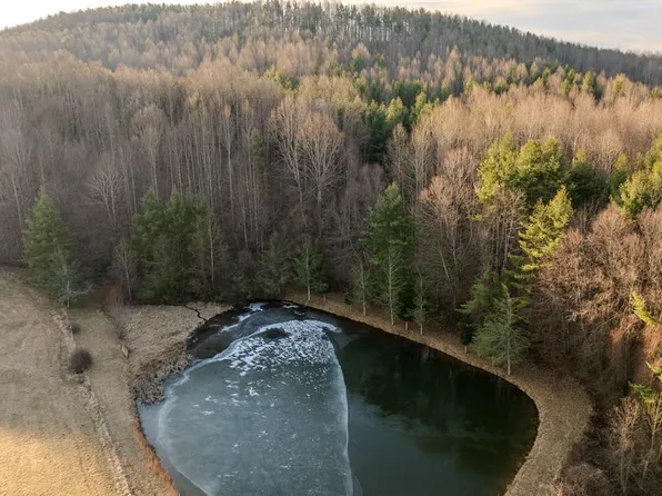 Tbd Breezy Ridge Rd, Woodlawn, VA 24381