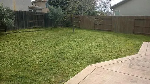 5737 Grove Ave photo 1