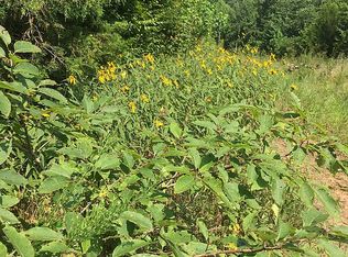 McGee Rd, Scotts hill, TN 38374