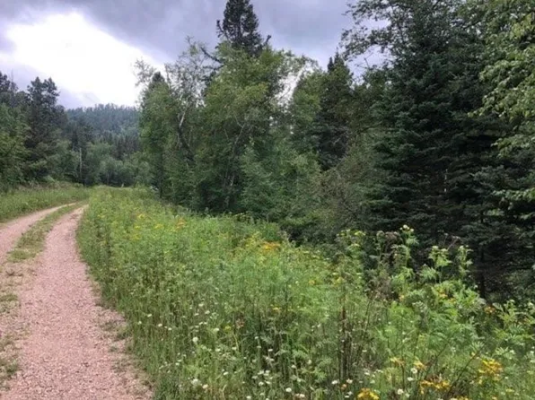20693 Toboggan Hill Rd, Lead, SD 57754