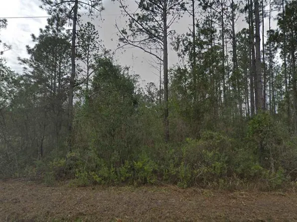 10515 Dillon Ave, Hastings, FL 32145