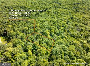 Gray Squirrel Rd, Oakland, MD 21550