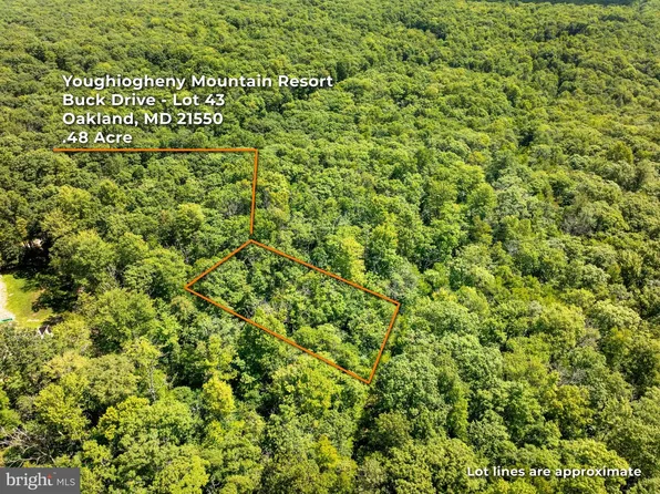 Gray Squirrel Rd, Oakland, MD 21550