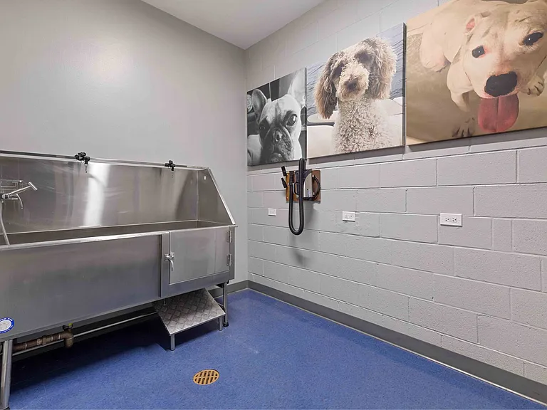 Onsite pet spa