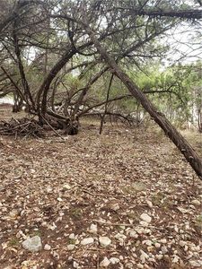 20902 Wishbone Dr, Lago Vista, TX, 78645