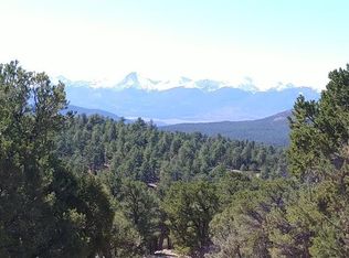 81 Bird Dr, Cotopaxi, CO 81223