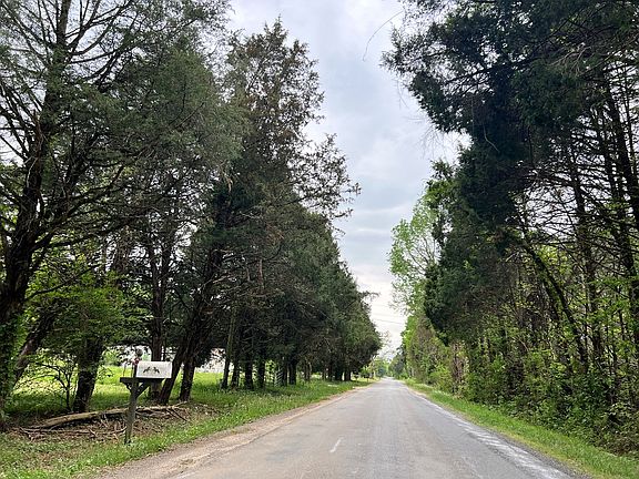 4th image of 568 Old Rhea Springs Rd