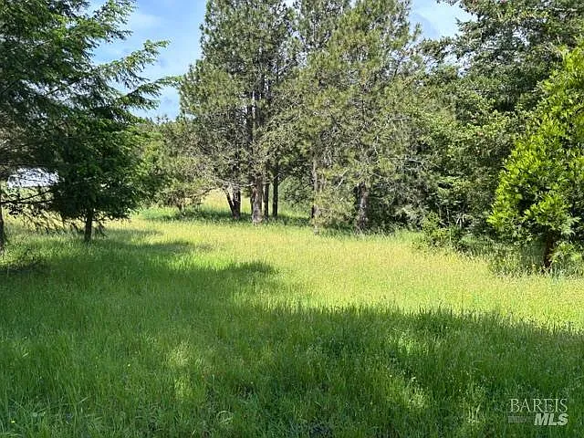 1187 Tannery Creek Road - Photo 8