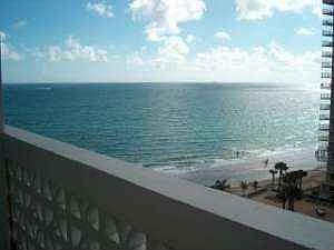 View from the Patio