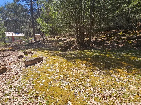 0 First Fork Rd, Sinnamahoning, PA 15861