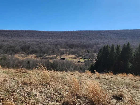 584 Old Wilson Rd, Swanton, MD 21561