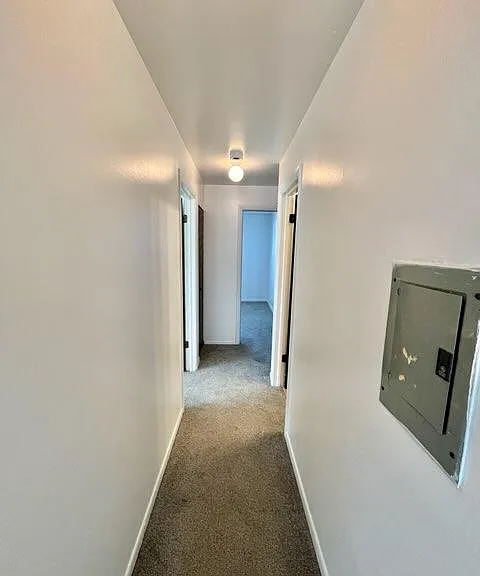 10602 Oak Tree Dr — Photo 7