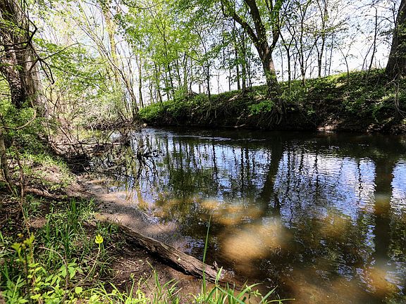 3rd image of 8 1/2 Mile Rd