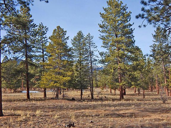 3rd image of 30696 Timberline Dr