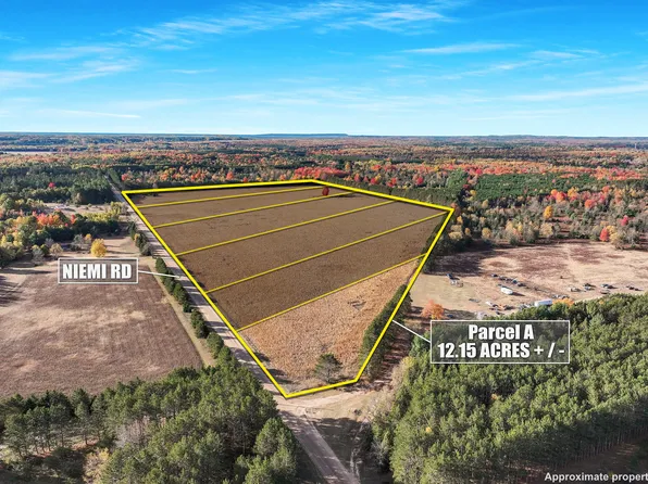 0 Niemi Rd Parcel A, Kaleva, MI 49645