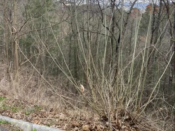 LOT 66 Smoky Ridge Way, Sevierville, TN 37862