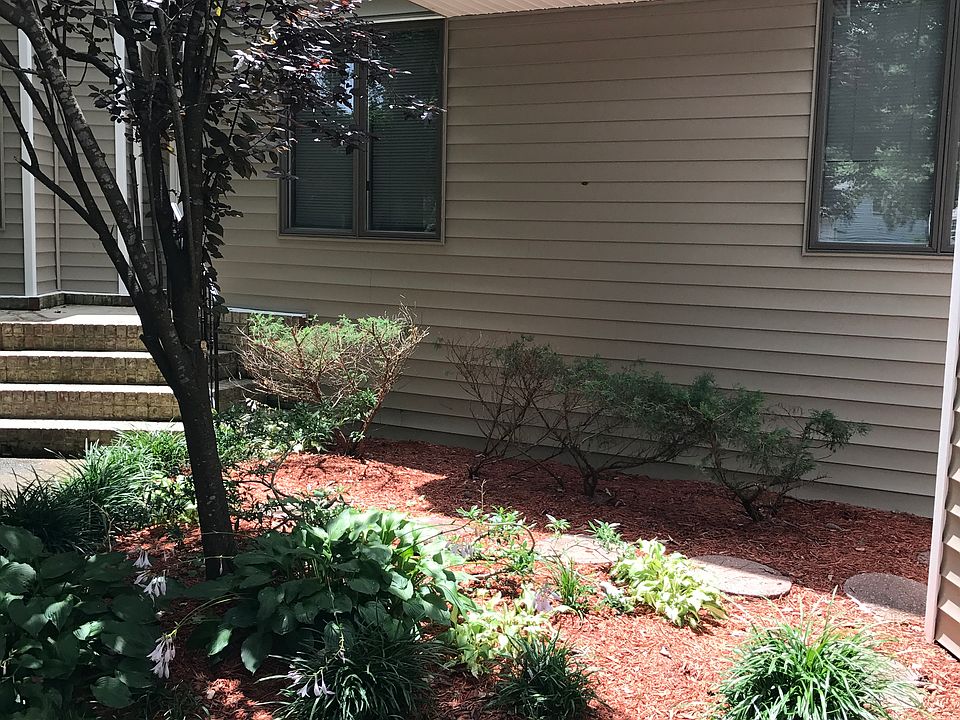 New Vinyl Siding