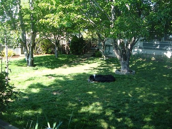 4th image of 811 Plumas St
