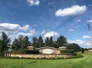 1014 Oliveto Verdi Ct, Brandon, FL 33511