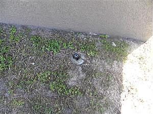 1st image of 516 SE 8th St