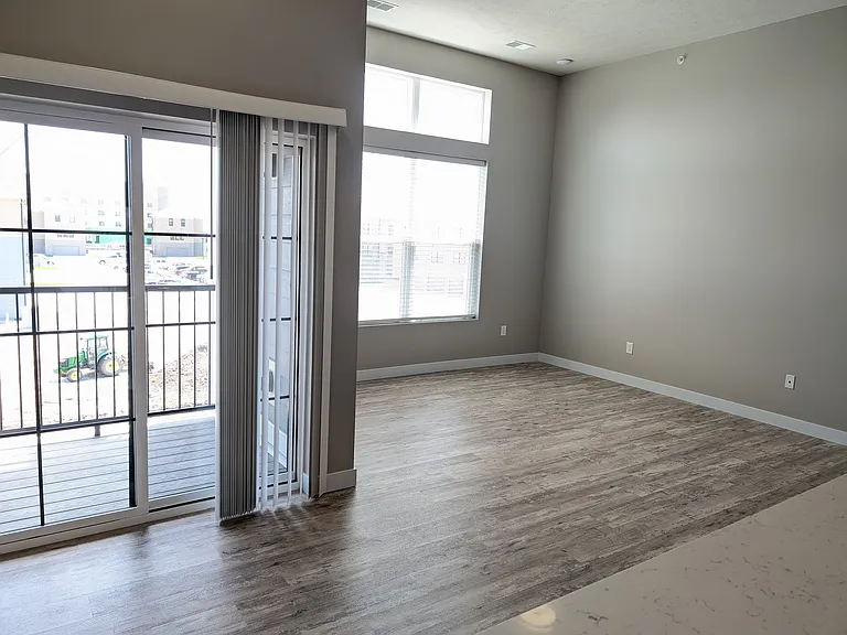 Elm 26 — Photo 39