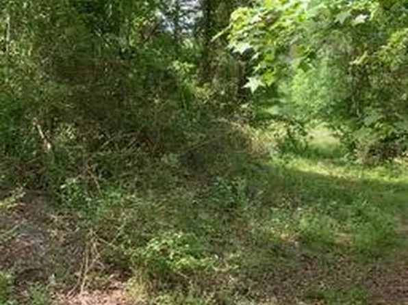 Tbd W Hamlet Avenue, Hamlet, NC 28345
