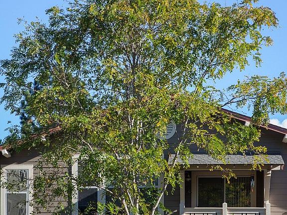 2nd image of 511 Acorn Ct