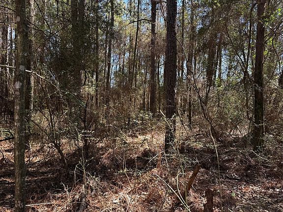 2nd image of 0 Spring Lake Dr