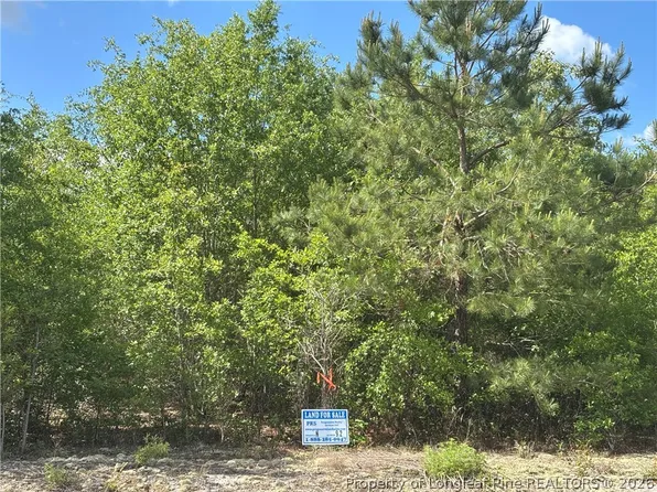 Johnson Rd Lot N, Fayetteville, NC 28312
