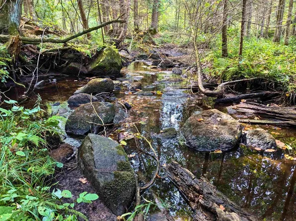 N15022 Highway 141, Amberg, WI 54102