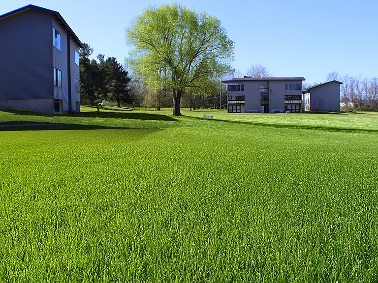 Swan Landing Apartments — Photo 15