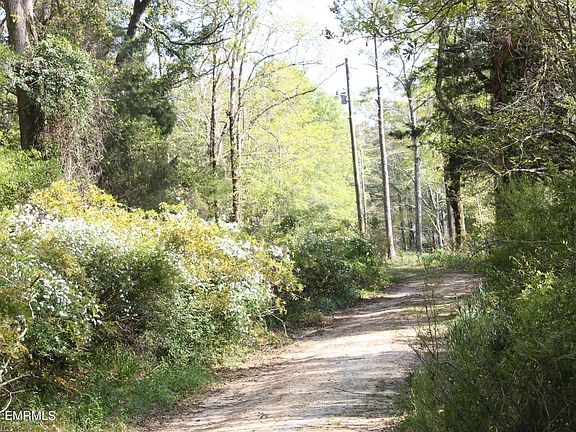 5th image of 11097 Highway 39 N