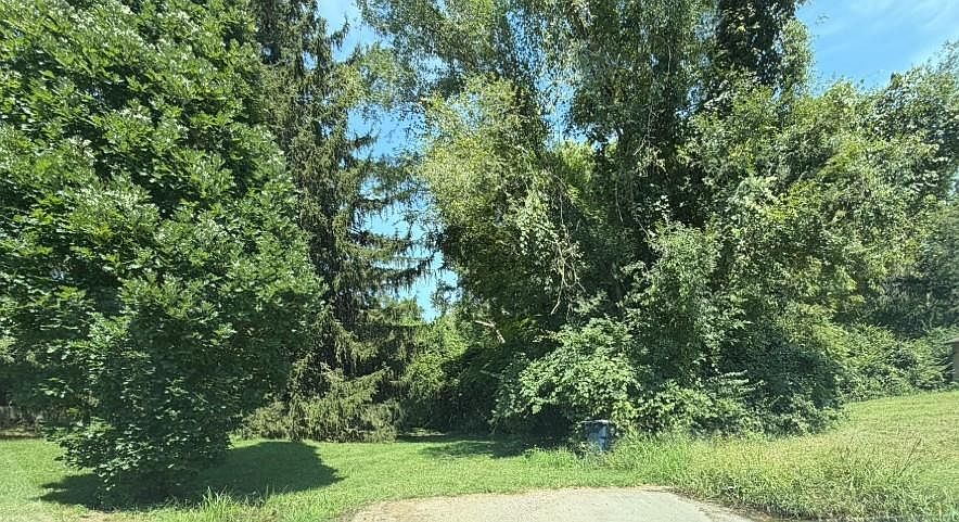 1st image of 4313 Royal Oaks Dr