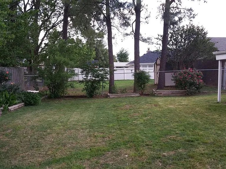 Backyard2