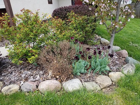 2nd image of 4400 Valley Quail Blvd S