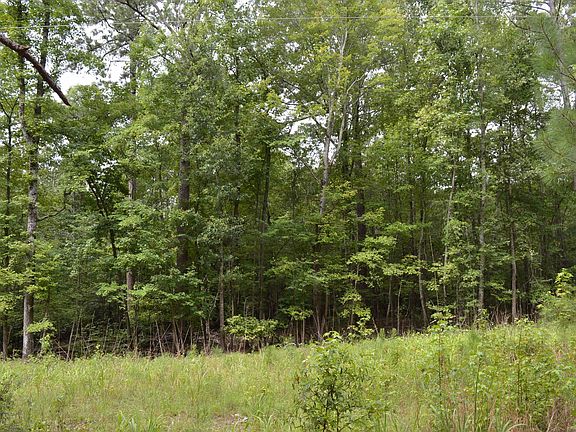5th image of 2087 Longtown Rd