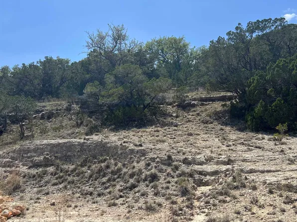 28530 Paradise Manor Drive, Marble Falls, TX 78654